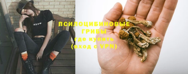 круглые Няндома