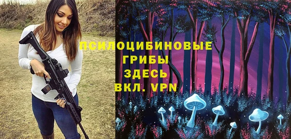 дживик Абинск