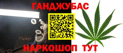 ГАЛЛЮЦИНОГЕННЫЕ ГРИБЫ Гусиноозёрск