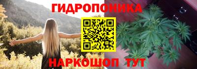 прущие грибы Гусев
