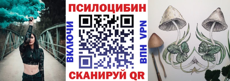 Галлюциногенные грибы мухоморы  Дербент 